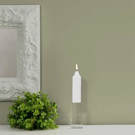 Root Candles 5" Unscented Smooth Collenette Taper Candles, 8ct. White {5}