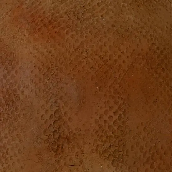 Hello Honey&reg; 16" Natural Terra Cotta Table Lamp with Cotton Shade {8}