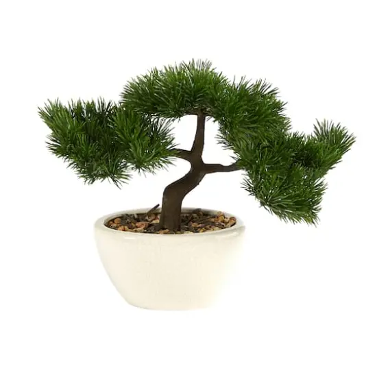 10" Cedar Bonsai Tree in White Planter {1}