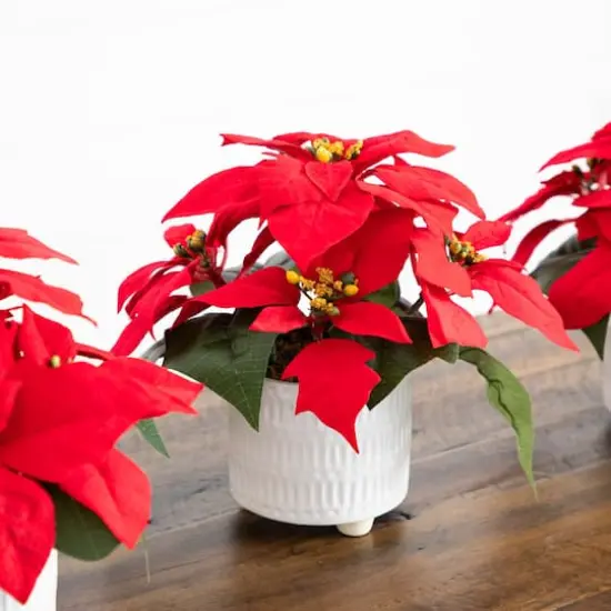 9" Artificial Poinsettia Arrangements in White Ceramic Pots, 3ct. {5}