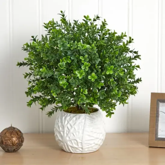 17" Boxwood in White Vase {5}