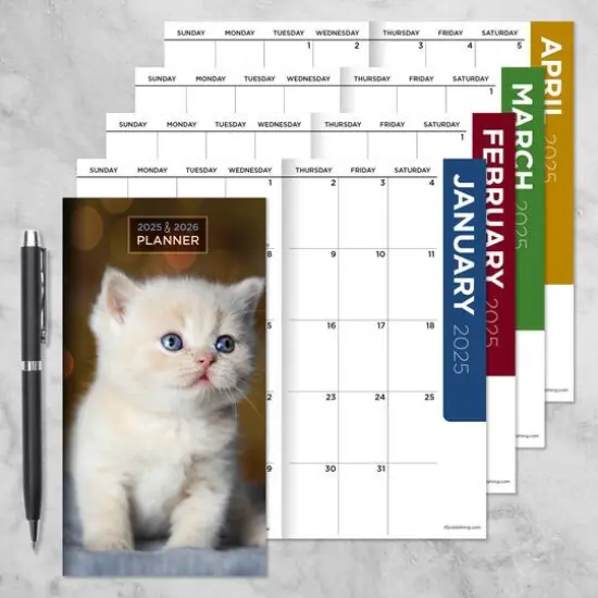 TF Publishing 2025-2026 Small Kitten Monthly Pocket Planner {4}