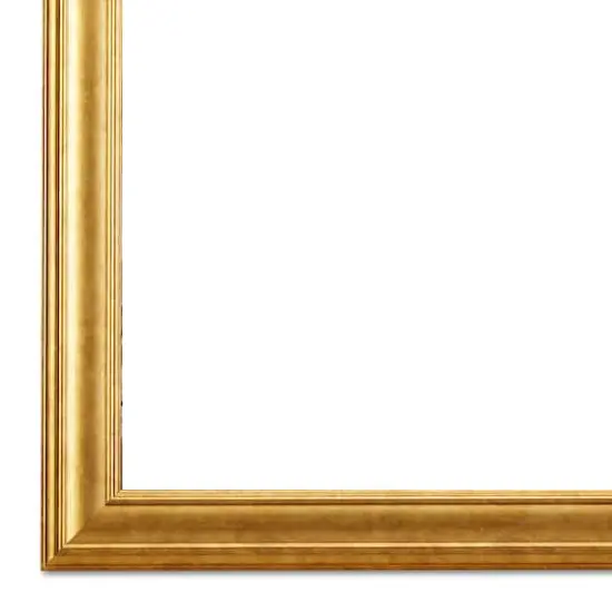 Home 16" x 20" Vintage Gold Frame by Studio D&eacute;cor&reg; {4}