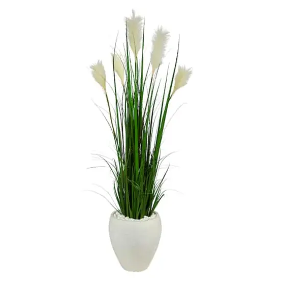 4.5ft. Wheat Plume Grass Plant in White Planter {1}