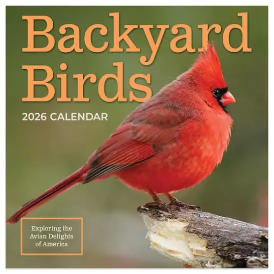 2026 Backyard Birds Mini Calendar {1}