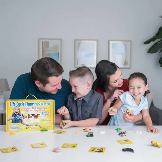 Insect Lore Life Cycle Figurine 24 Piece Set {7}