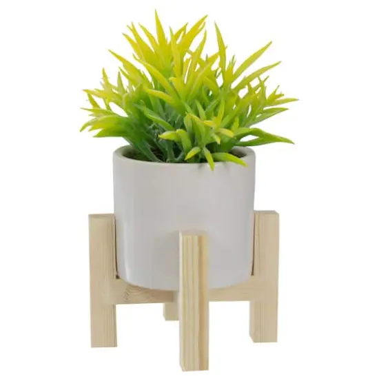 8" Potted Green Succulent with Wooden Stand {1}
