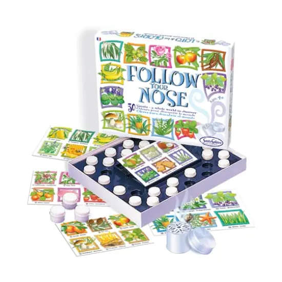 Follow Your Nose Bingo Game {1}