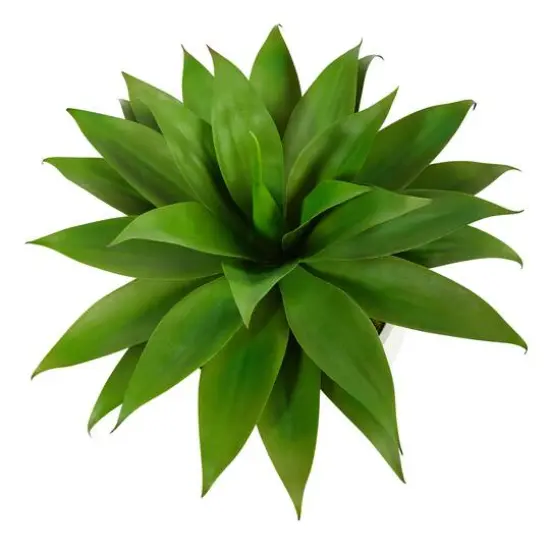 2.5ft. Agave Plant in White Planter with Metal Stand {4}