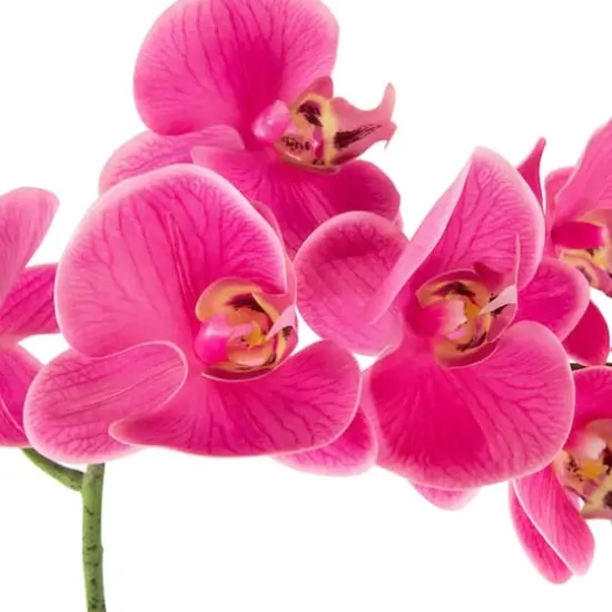 24" Real Touch™ Pink Orchid in a Striped Ceramic Pot {5}