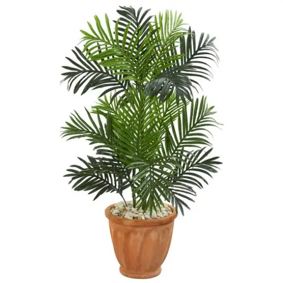 3.5ft. Paradise Palm Tree in Terra Cotta Planter {1}