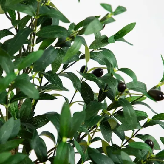 5ft. Potted Artificial Olive Tree {4}
