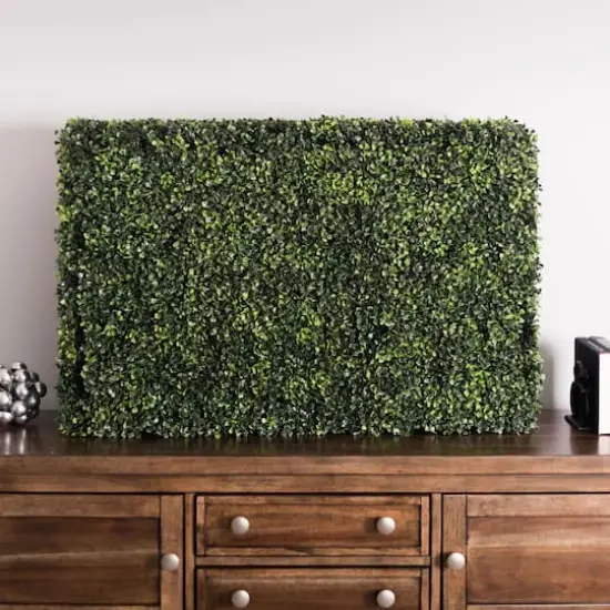 2ft. Boxwood Hedge {3}