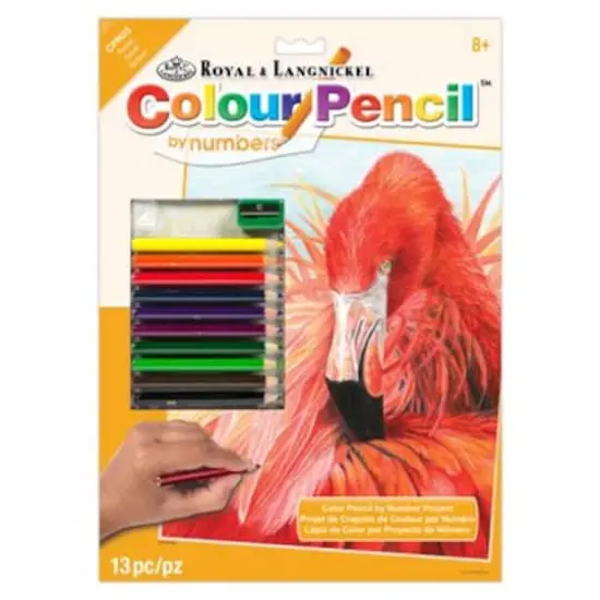 Royal & Langnickel® Flamingo Colour Pencil™ by Number Kit {1}