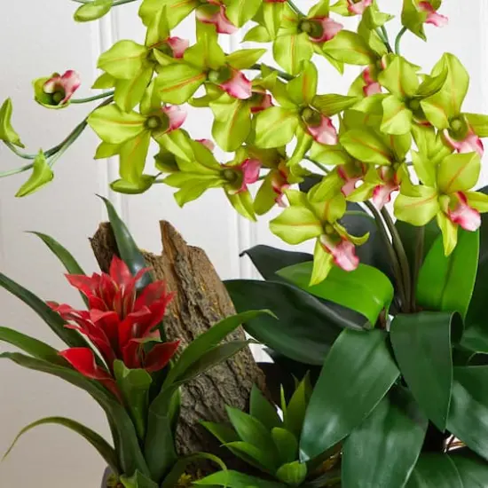 23.5" Green Pigeon Orchid & Bromeliad Arrangement in Black Rectangle Planter {8}