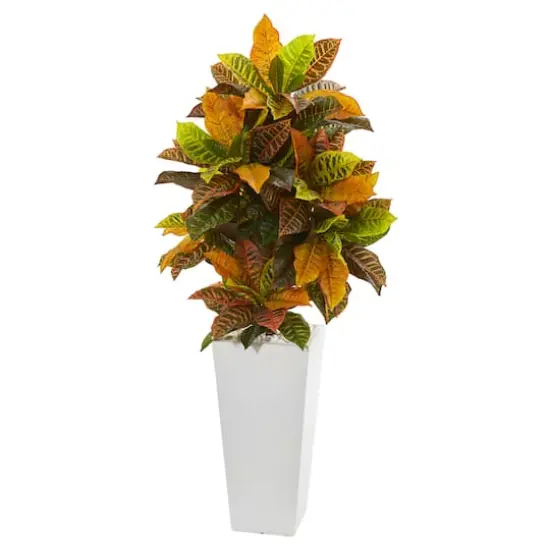 4.25ft. Croton Plant in White Tower Planter {1}