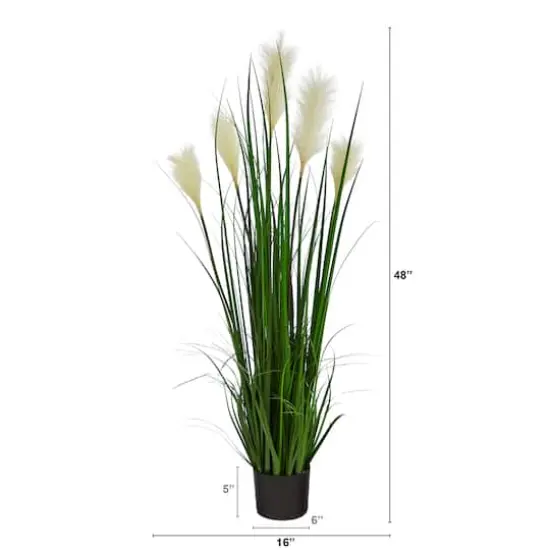 4ft. Potted Plume Grass Plant {3}