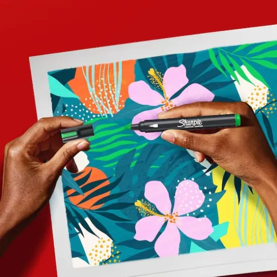 Sharpie&reg; 5 Color Bullet Tip Creative Markers {5}