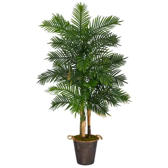 6ft. Areca Palm Tree in Metal Pail with Rope {1}