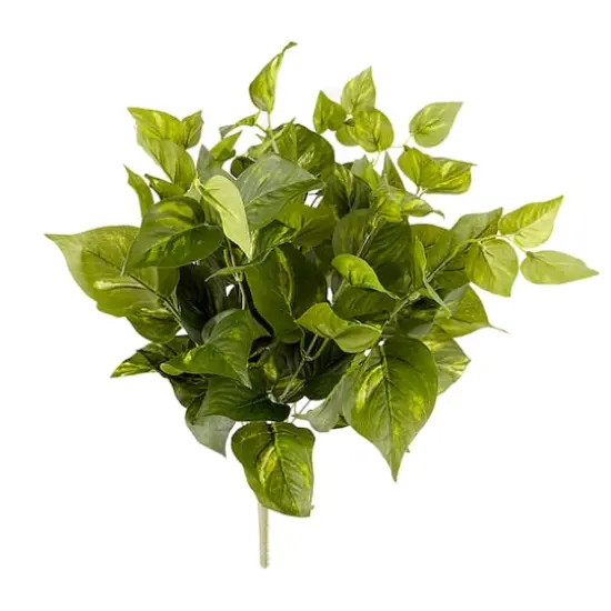 Pothos Bush Real Touch&trade; Collection by Ashland {1}