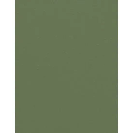 PA Paper™ Accents 8.5" x 11" 74lb. Muslin Cardstock Paper, 1,000 Sheets Rain Forest {1}