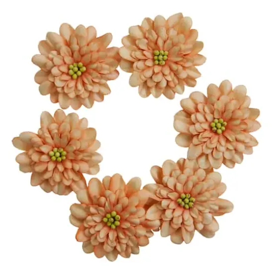 Peach Gerbera Daisy Embellishments by Recollections&trade; {1}