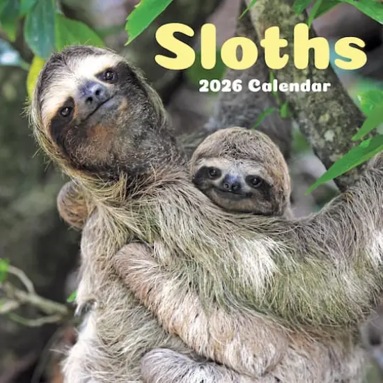 2026 Sloths Wall Calendar {1}