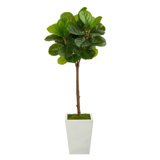 4ft. Fiddle Leaf Tree in White Metal Planter {1}