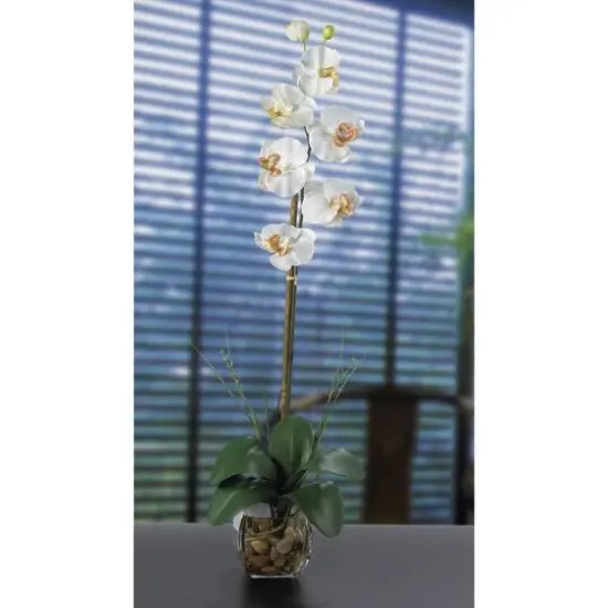 2.3ft. Cream Orchid Arrangement with Vase {3}