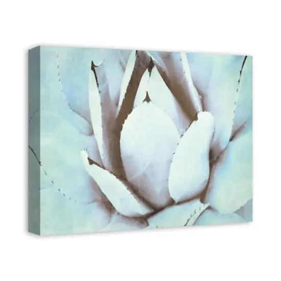 Green Succulent 20" x 16" Canvas Wall Art {3}