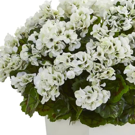 27" White UV Resistant Geranium Arrangement in White Planter {4}