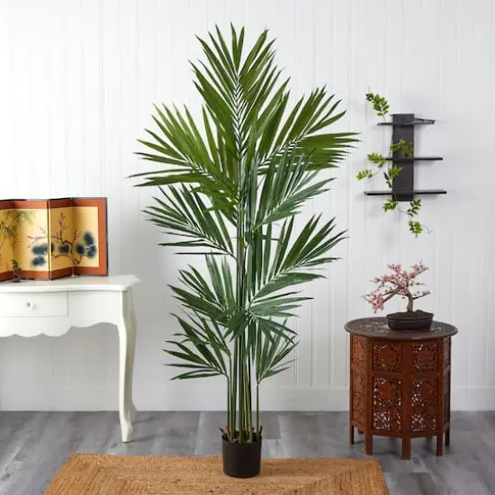 7ft. Potted Kentia Palm Silk Tree {5}