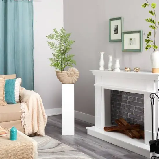 3ft. Ruffle Fern Artificial Tree in Shell Shaped Planter {5}