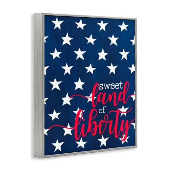 Stupell Industries Sweet Land Of Liberty Americana Framed Giclee Art Gray {4}