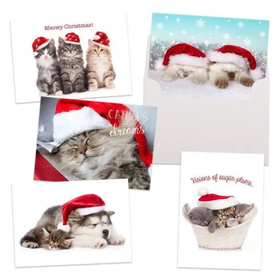 JAM Paper Season's Greetings Holiday Cat Assortment Cards Set, 25ct. {1}