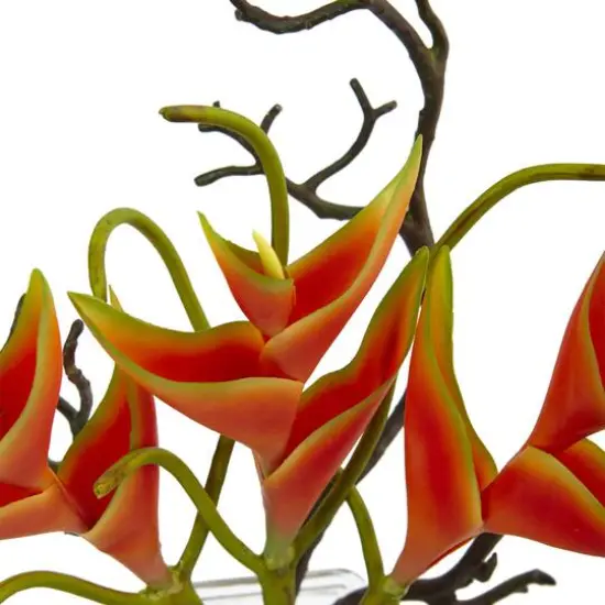 17" Orange Heliconia Arrangement in Glass Vase {3}