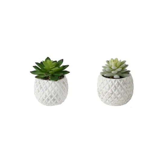 Flora Bunda&reg; 4.5" Succulent in Pineapple Pot, 2ct. {1}