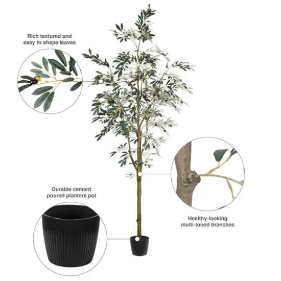8ft. Potted Olive Tree {9}