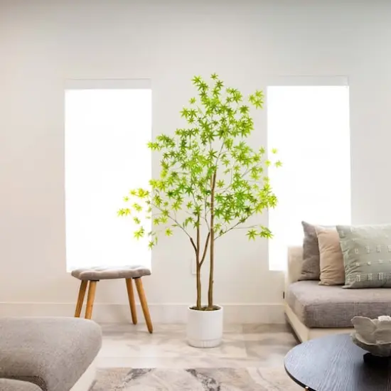 6ft. Maple Tree with White Planter {3}