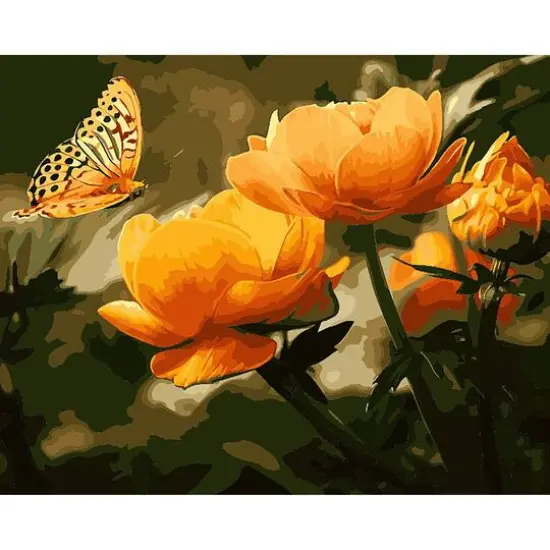 Winnie's Picks Peach Butterfly in the Summer Adult Paint by Numbers Kit {1}
