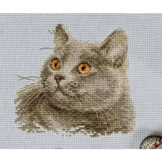 Alisa British Cat Cross Stitch Kit {5}