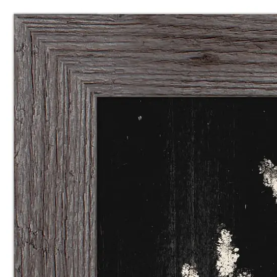 Dried Botanical Western 16" x 16" Framed Print Gray {4}