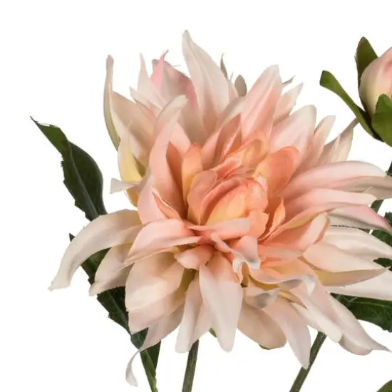 6 Pack: Peach Dahlia Spray {3}