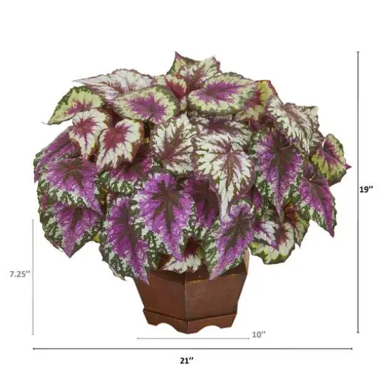 19" Wax Begonia in Decorative Planter {3}