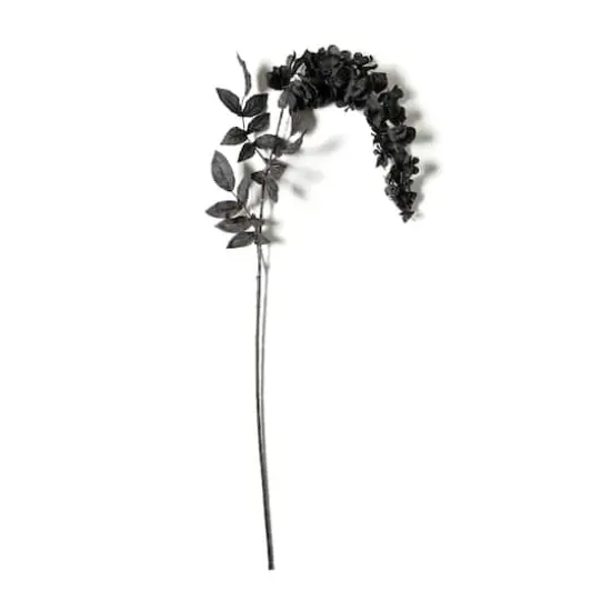 Black Wisteria Stem by Ashland&reg; {1}