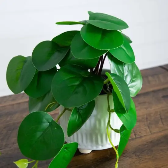 8" Mixed Greenery in Ceramic Planters Set {12}