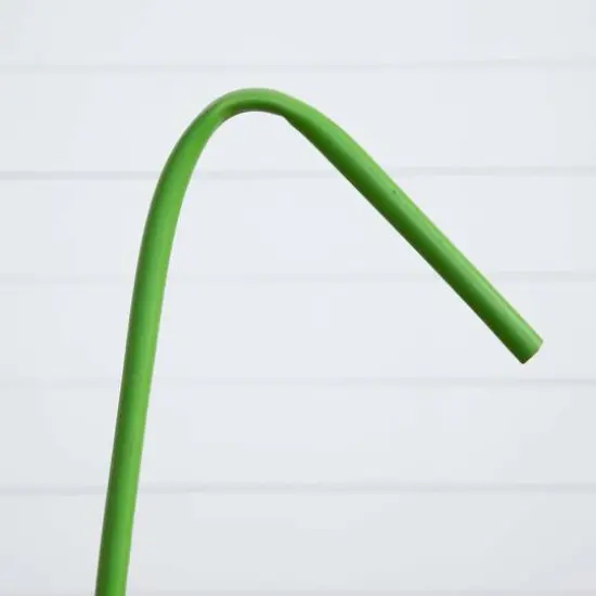 45" Pink Gladiolus Flower Stems, 3ct. {6}