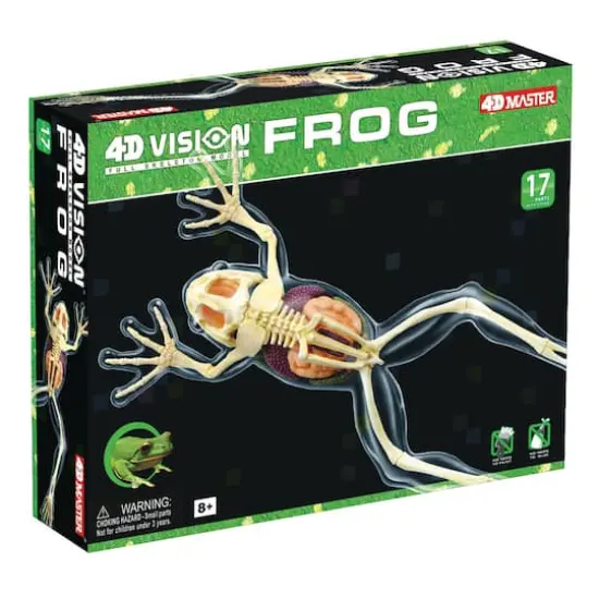 4D Vision&trade; Full Skeleton Frog Model {1}