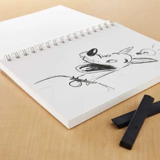 Strathmore&reg; 300 Series Mixed Media Pad {3}