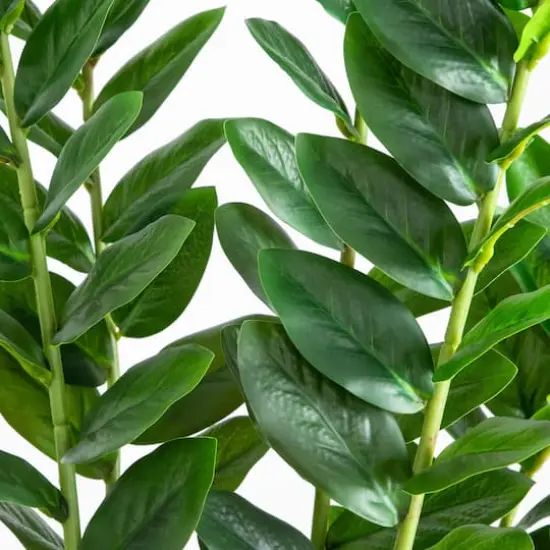 5ft. Artificial Zamioculcas Plant {4}